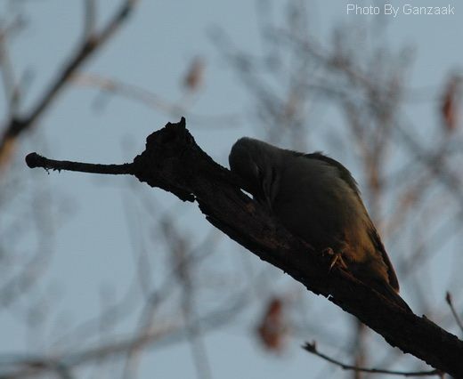 DSC_8648.JPG