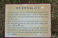 23.JPG