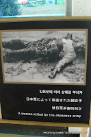 61.JPG