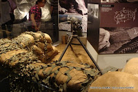 105.JPG