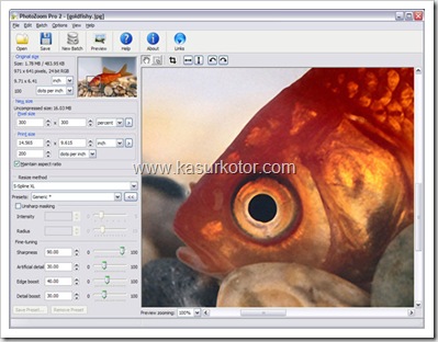 PhotoZoomPro PhotoZoomPro