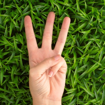 [images3-fingers[2].jpg]