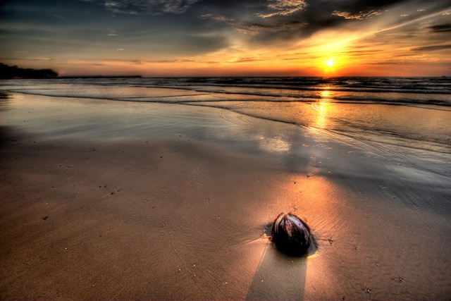 [IMG_8554_5_6_tonemapped[6].jpg]