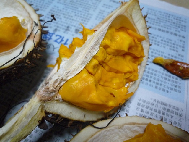 [P1030845[3].jpg]