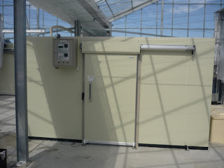 P1000774.JPG