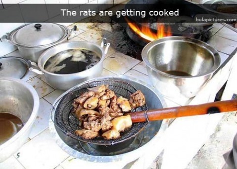 [rat_for_dinner_0053.jpg]