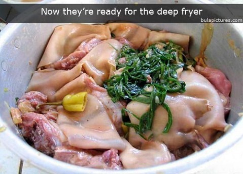 [rat_for_dinner_0063.jpg]