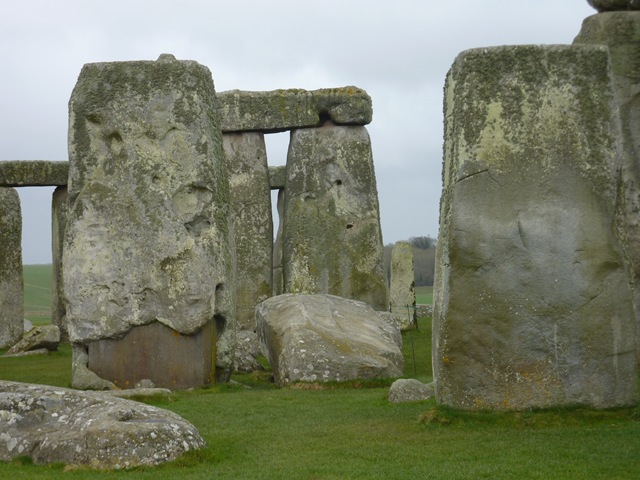 [P10006483.jpg]