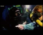 высокие голоса водолазов