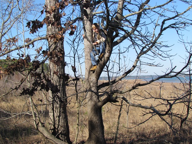 [2011-2-5 Blackforest  (20)[2].jpg]