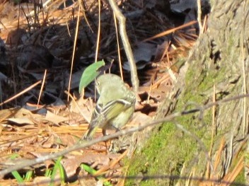 [2011-2-5 Boutin Lake (56)[6].jpg]