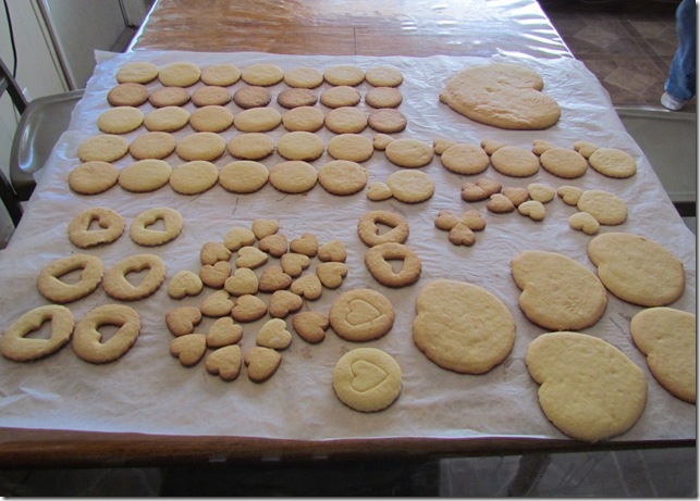 2011-2-12 cookies (86)