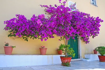 Corfu