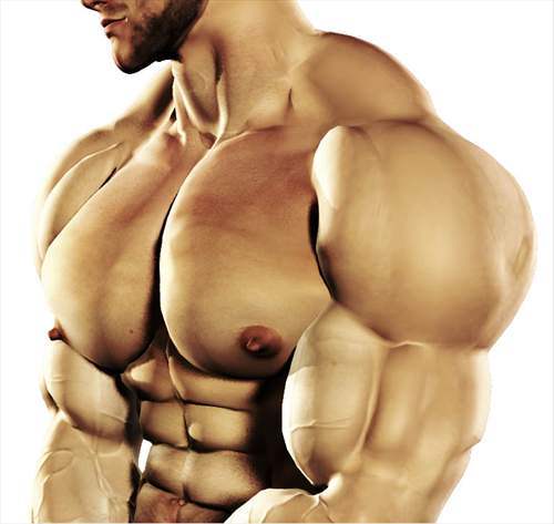 gay erotic art bodybuilder