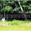 Pique nique dans la prairie de la ferme pédagogique. Pique nique dans la prairie de la ferme pédagogique.