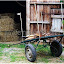 La carriole devant la grange de la ferme pédagogique.