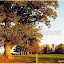 Copyright: ferme pédagogique de la Ribiere de Bord -www.fermedelaribiere.net -
