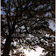 Copyright: ferme pédagogique de la Ribiere de Bord -www.fermedelaribiere.net -