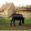 Lors d'un weekend de repos hors de notre ferme à Guédelon, chantier médiéval.