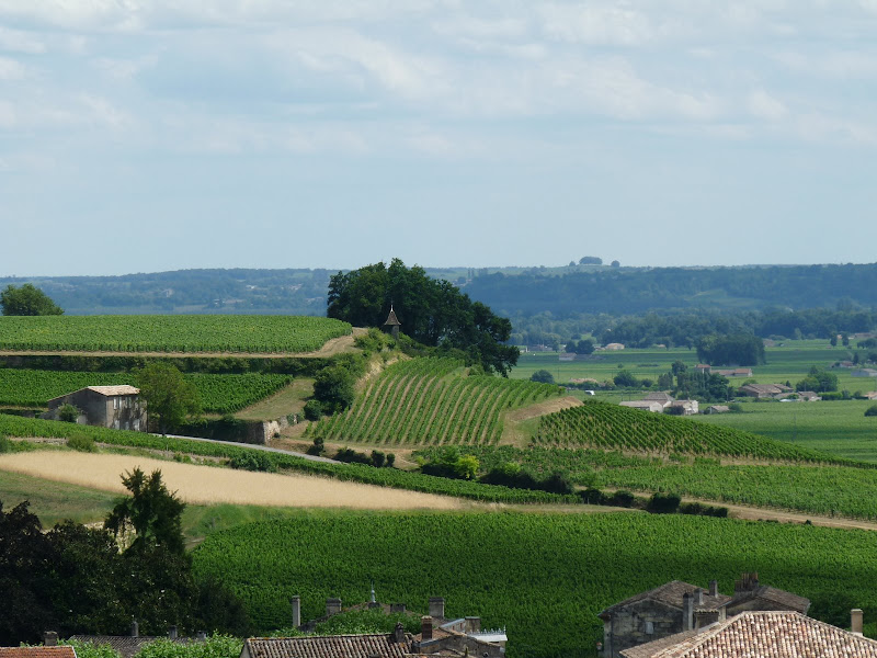 Saint Emilion P1010044