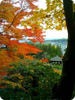 JAPAN 331