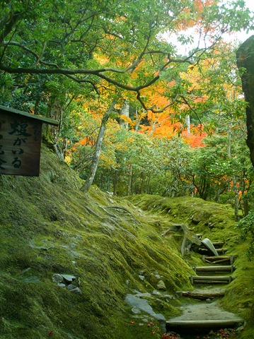 [JAPAN 326[4].jpg]