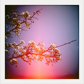 2011-04-15-13-11-45-808