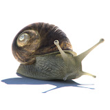 HeroPic.jpg