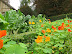 dom-marieantoinette-39.jpg