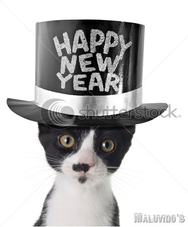 [stock-photo-funny-kitten-wearing-a-happy-new-year-hat-41118259[24].jpg]