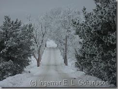 vinter vinter