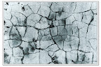 眷村系列 Slideshow slideshow