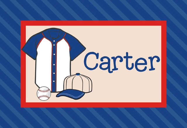 PILLOWcarter2