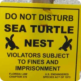 sea-turtle-sign