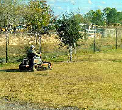 [mowing[8].jpg]