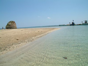 marina torre pali marina torre pali.jpg