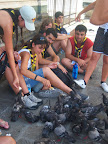 100_8874.JPG