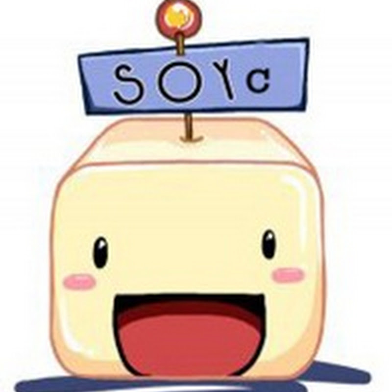More information about SOYC 2011 !