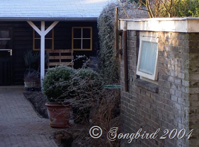 [Garden Shed Before1[2].jpg]