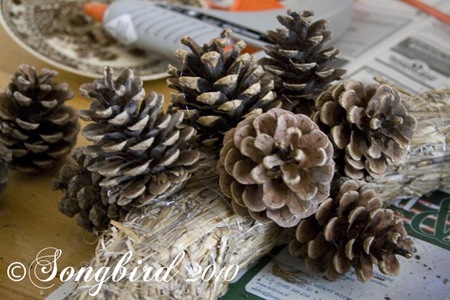 [Pine-Cone-Wreath-56.jpg]