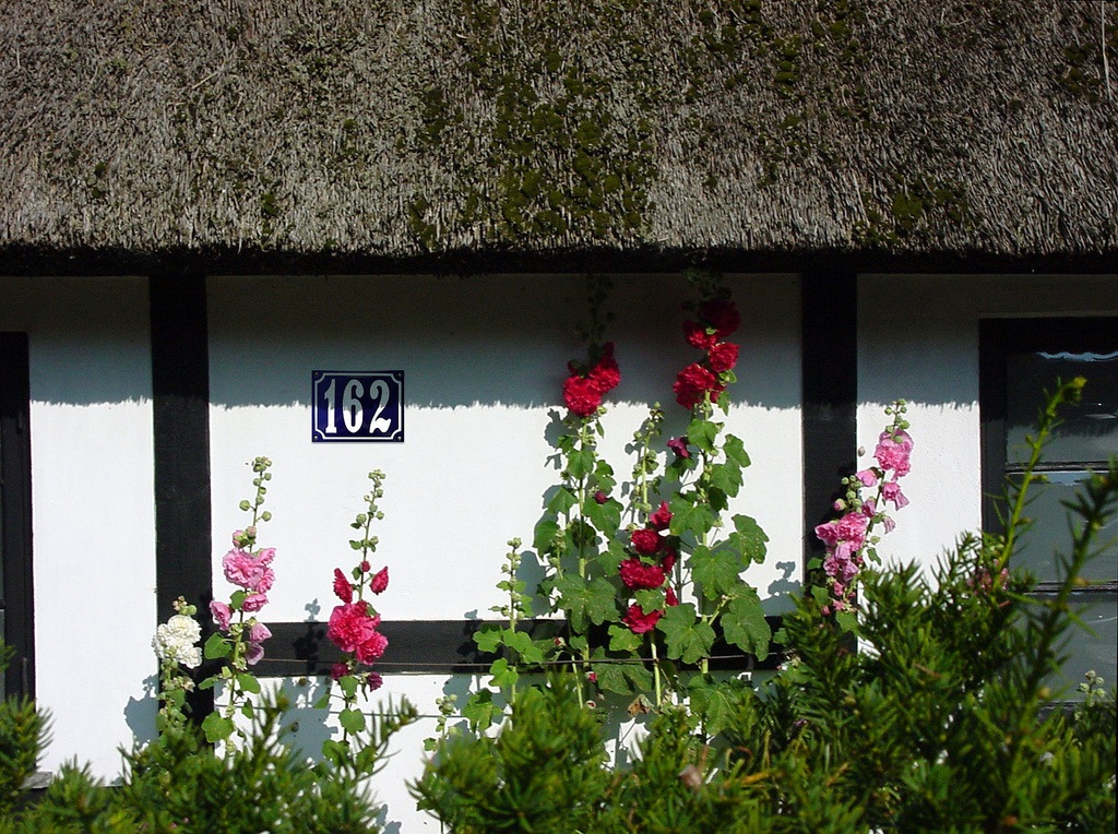 [Euro Style number sign[3].jpg]