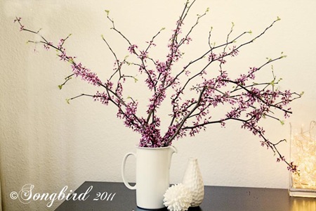 [Blosom-Branches-56.jpg]