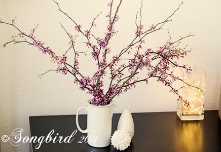 [Blosom-Branches-22.jpg]
