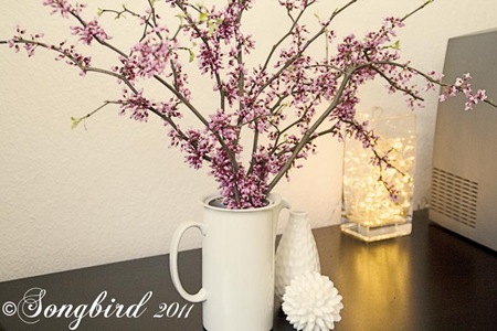 [Blosom-Branches-32.jpg]