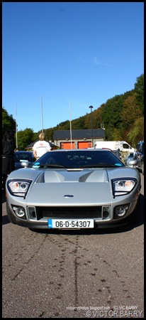 IMG_3934 copy