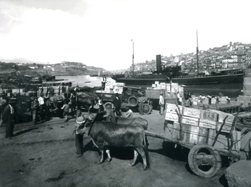 ec1010