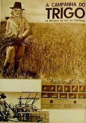 1934trigo 1934trigo