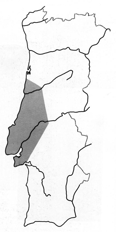 [inq1533.jpg]