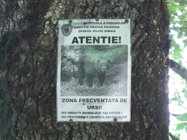CIMG0199.JPG