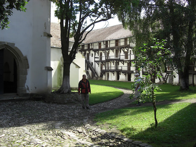 CIMG0248.JPG